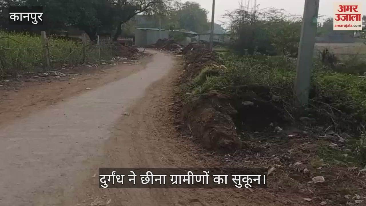 कानपुर: नौरंगाबाद में गोबर का पहरा, मुख्य मार्ग पर बजबजाते ढेरों से फैल रही बीमारियां