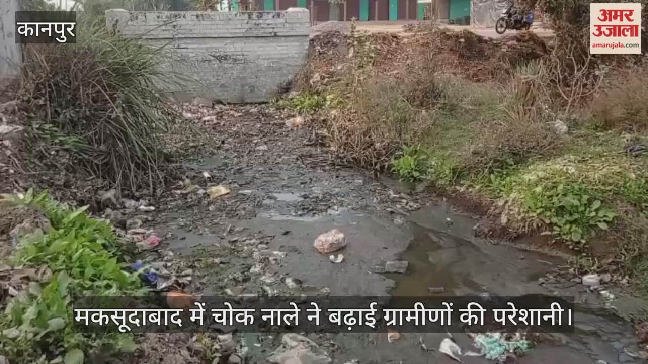 कानपुर: सिल्ट और कूड़े से चोक हुआ मुख्य नाला; बदबू के बीच रहने को मजबूर ग्रामीण