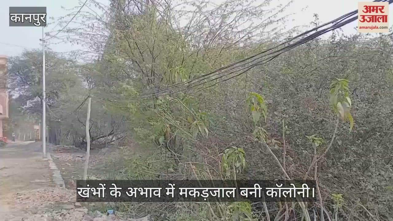 पनकी विस्तार योजना: हाईटेंशन लाइनों के बीच बांस-बल्लियों पर टिकी जिंदगी; सालों बाद भी नहीं लगे खंभे…हादसों को दावत