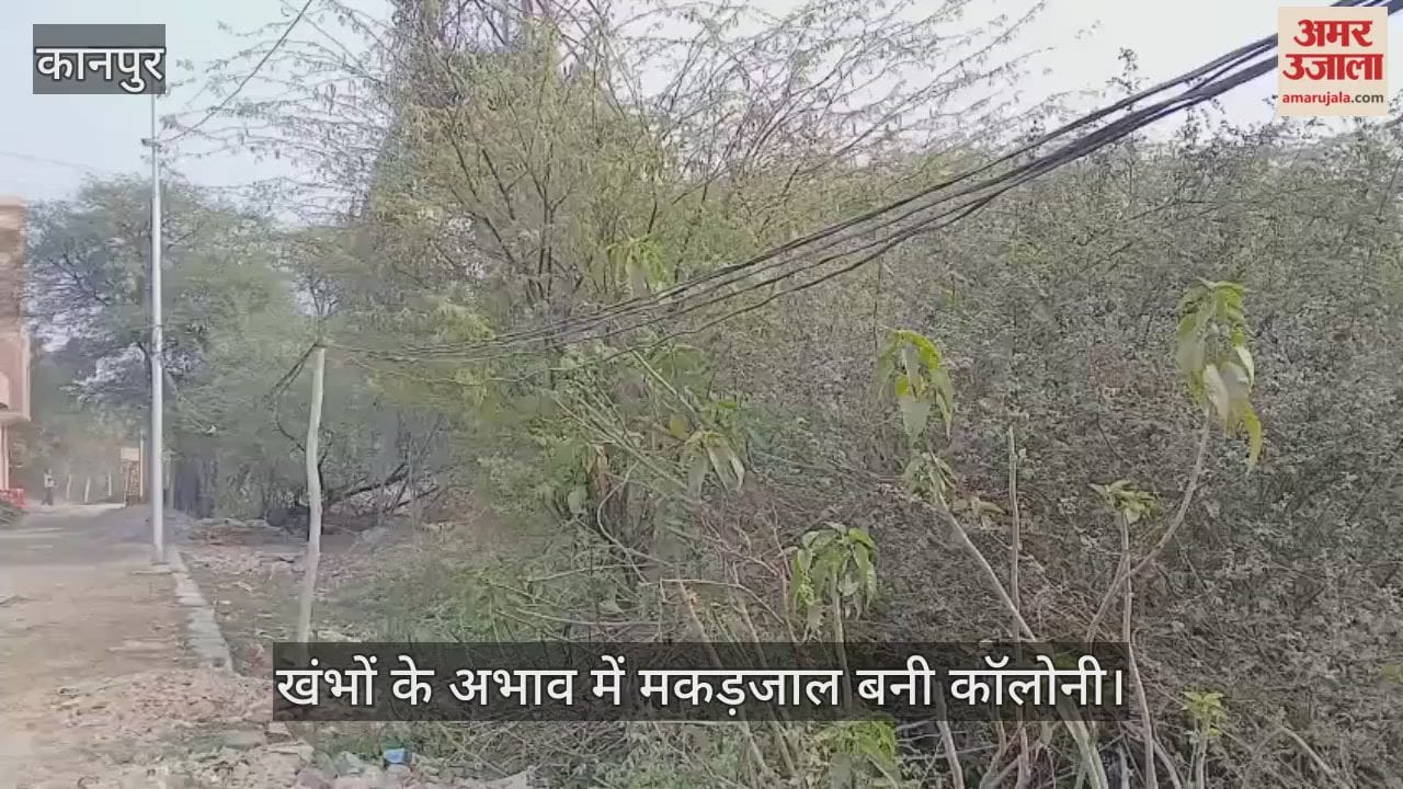 पनकी विस्तार योजना: हाईटेंशन लाइनों के बीच बांस-बल्लियों पर टिकी जिंदगी; सालों बाद भी नहीं लगे खंभे…हादसों को दावत