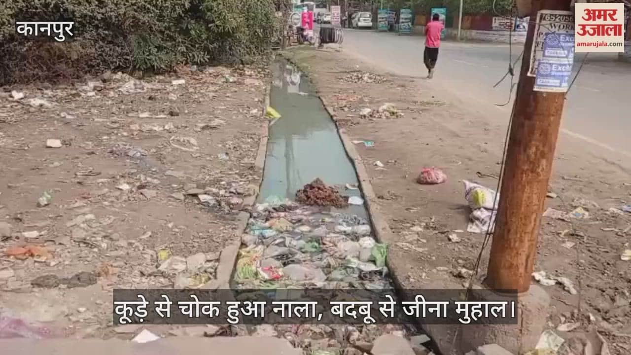 कानपुर: पॉश इलाके में बजबजा रहा नाला, ओवरफ्लो की कगार पर…नमक फैक्टरी चौराहे के पास गंदगी का अंबार