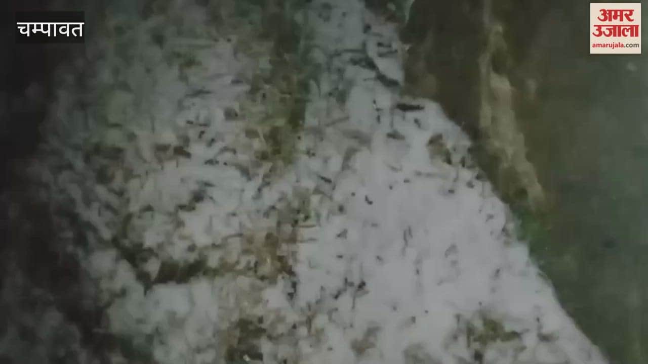 Chances of snowfall in Pati and Lohaghat of Champawat