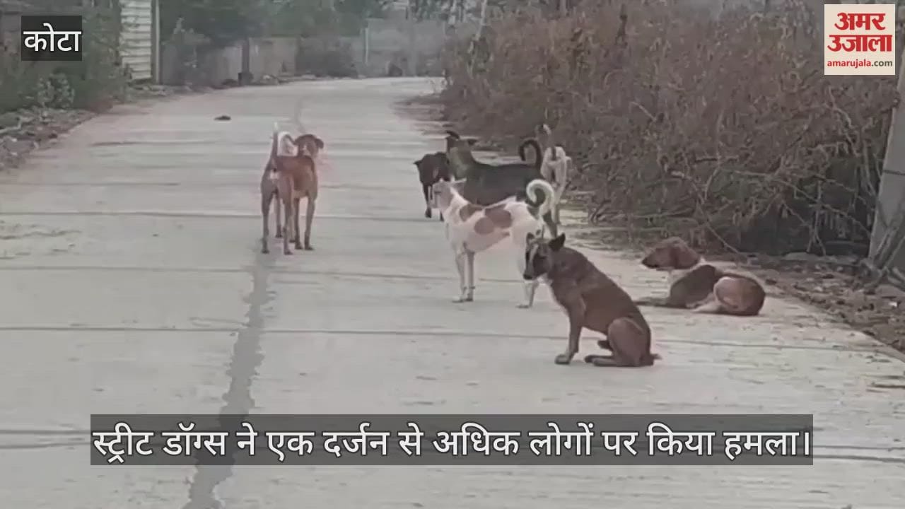 More than a dozen people became victims of the terror of street dogs, a 5-year-old girl was also injured.