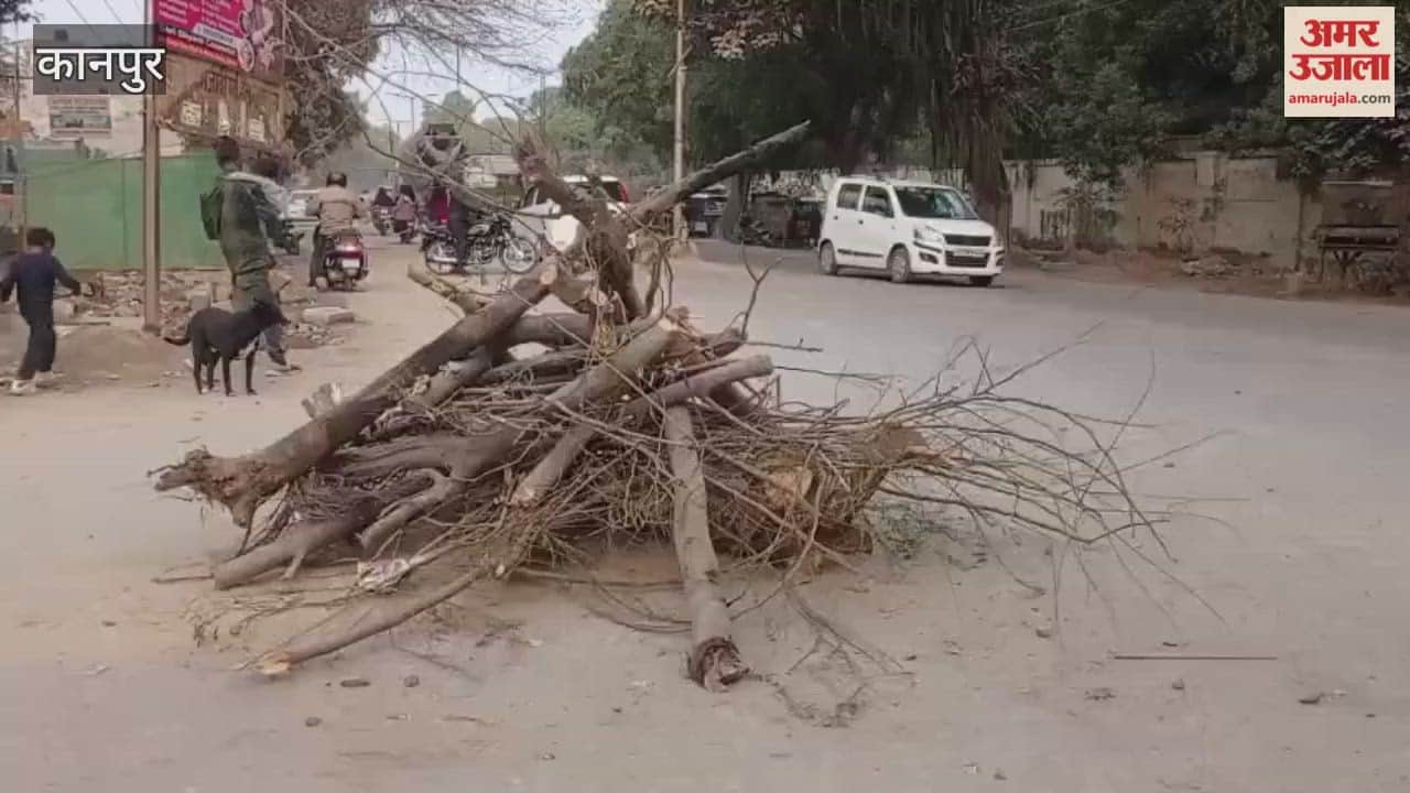Kanpur: Holi pyres being set up in violation of safety standards