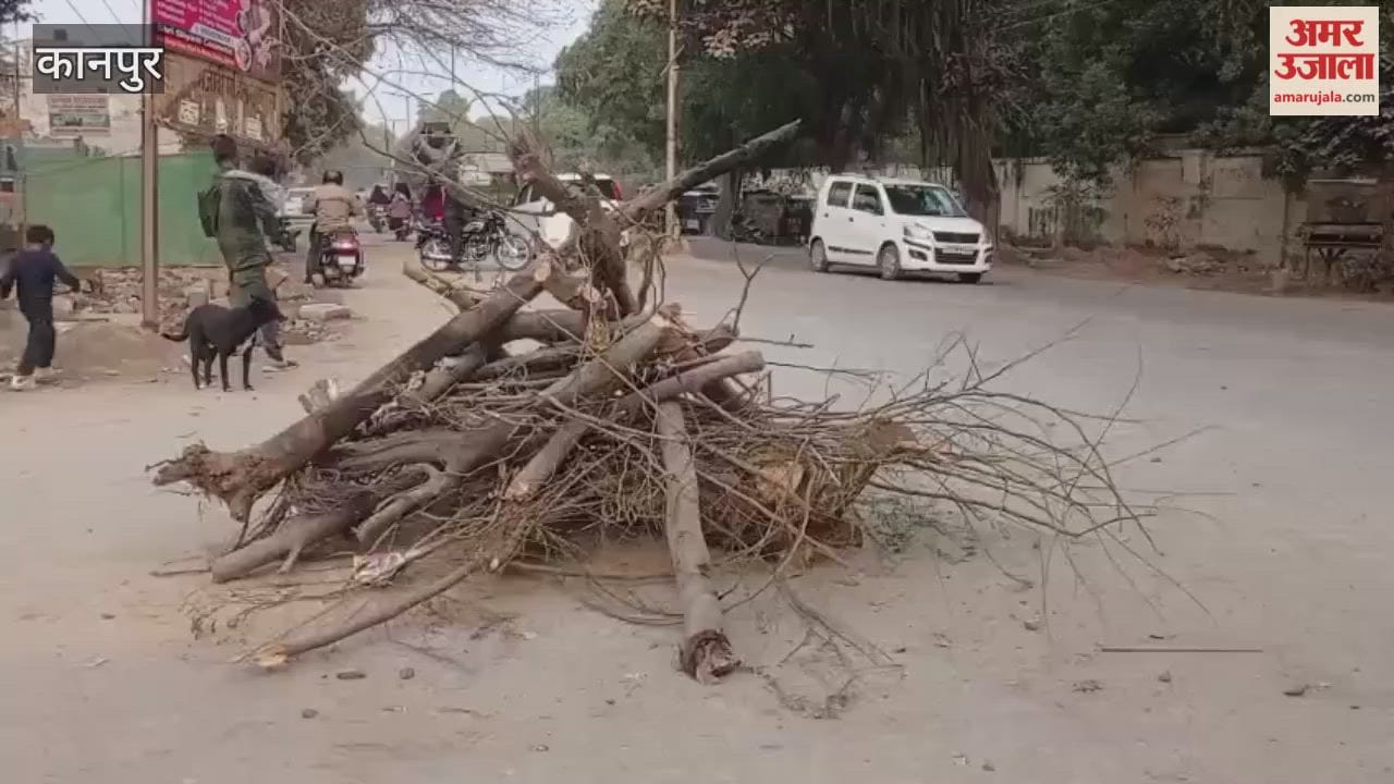 Kanpur: Holi pyres being set up in violation of safety standards