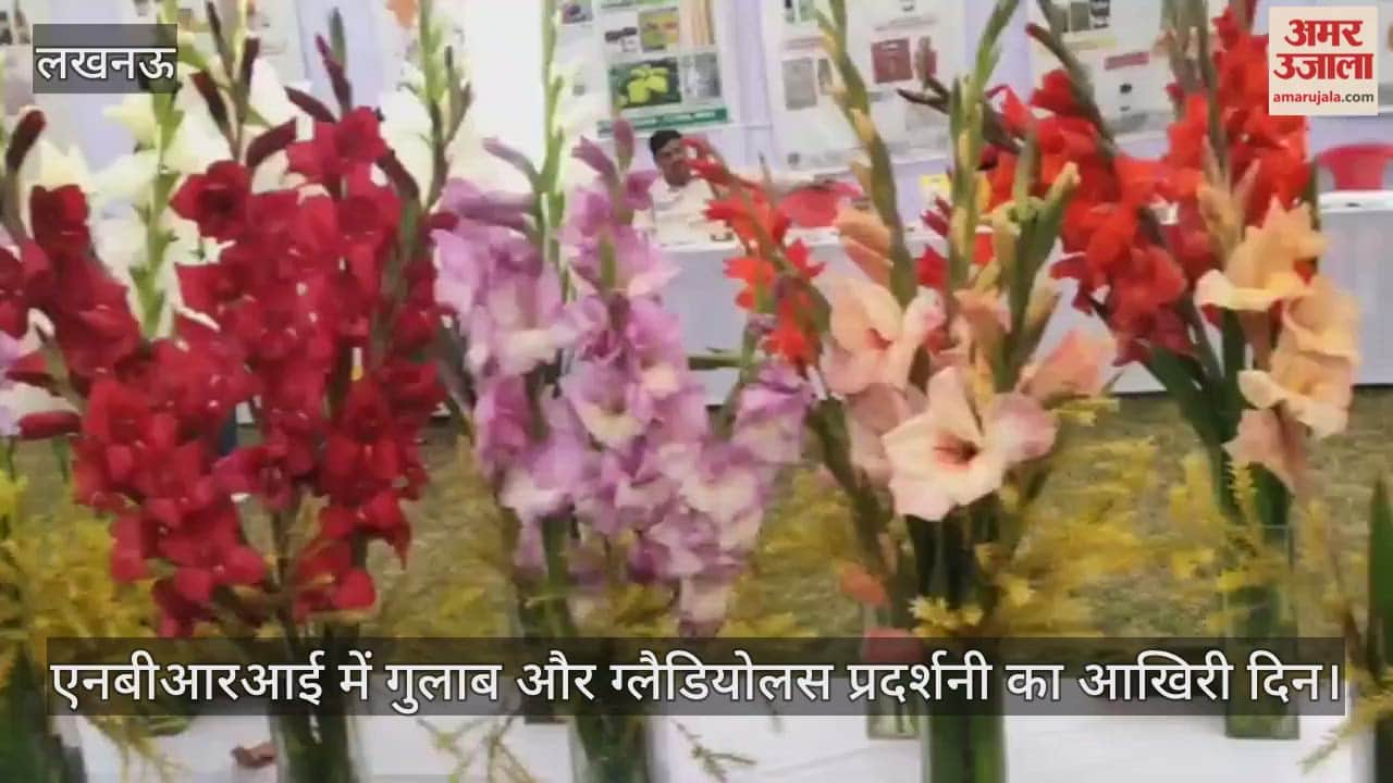 VIDEO: एनबीआरआई में गुलाब और ग्लैडियोलस प्रदर्शनी का आखिरी दिन