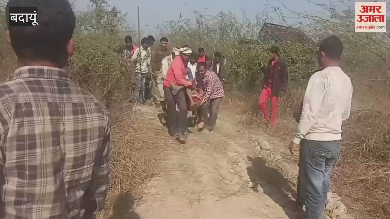 bull attacked and killed an elderly woman in Budaun