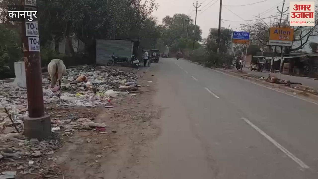 Kanpur: Garbage Piles Up Along Roadside in Makrikheda, Residents Troubled