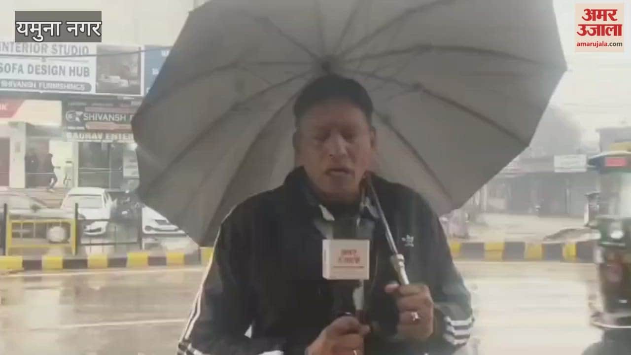 Heavy rains wreak havoc in Yamunanagar: Crops severely affected, weather department expresses concern.