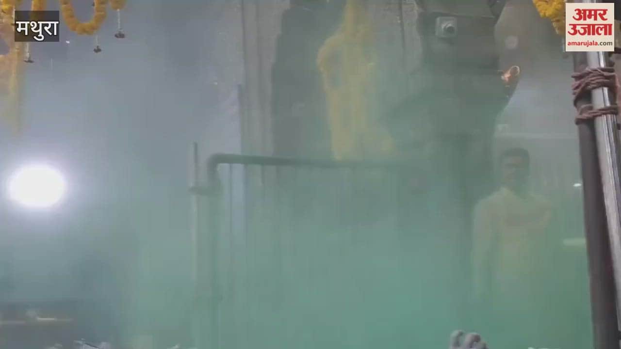 Spring Festival Celebrated at Banke Bihari Temple, Holi Begins with Gulal