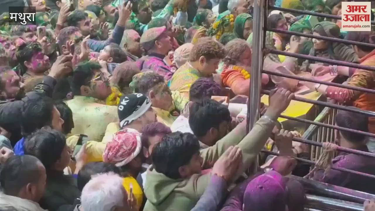 Spring Festival Celebrated at Banke Bihari Temple, Holi Begins with Gulal