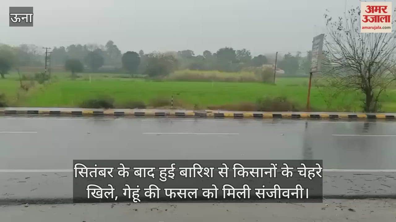 The rains that followed in September brought smiles to the faces of farmers, giving a new lease of life to the wheat crop.