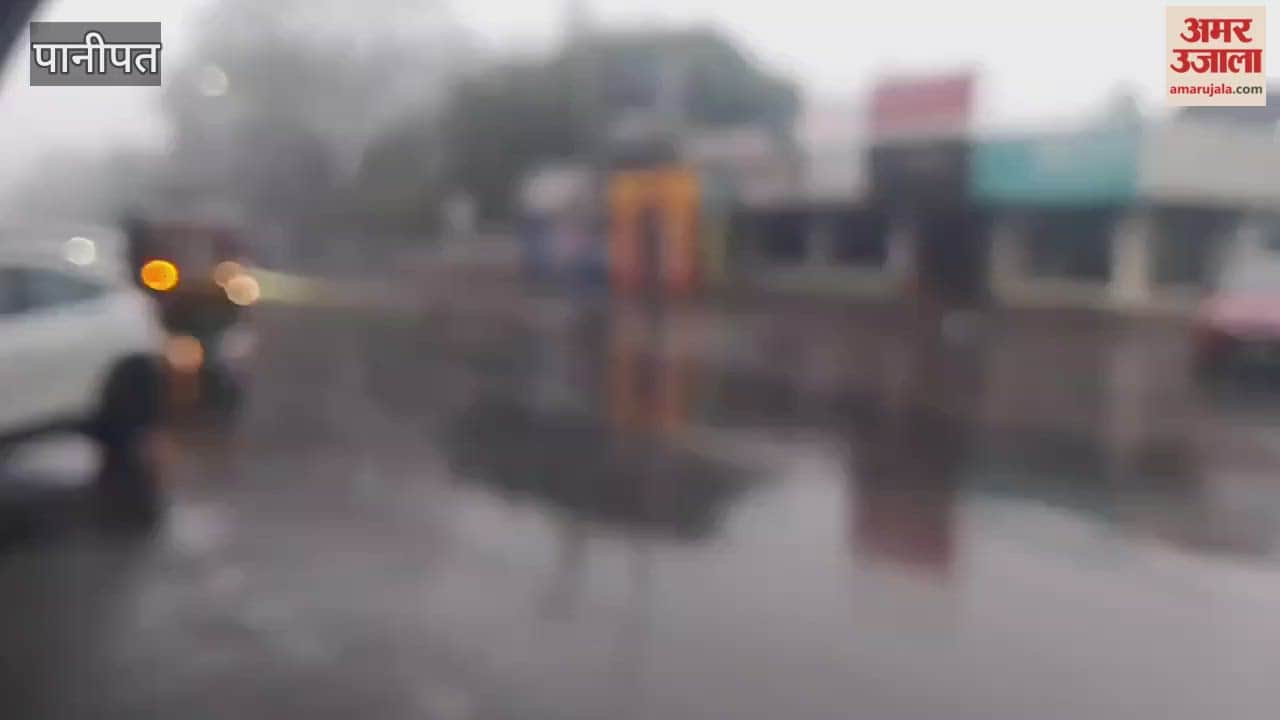 In Panipat, heavy rainfall, reminiscent of the monsoon season, occurred in the month of Magh due to a western disturbance.