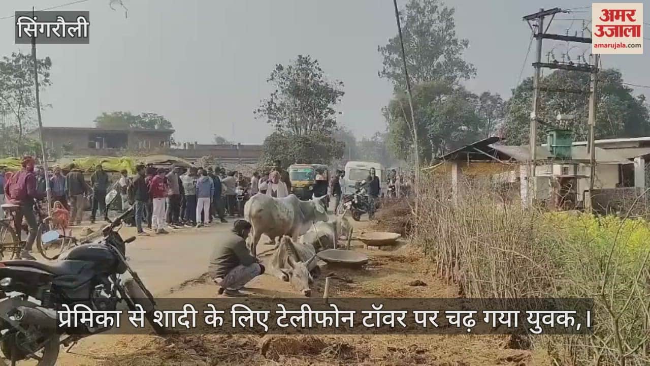 Love or madness young man climbed  tower to arrange  wedding and caused high voltage drama in Singrauli