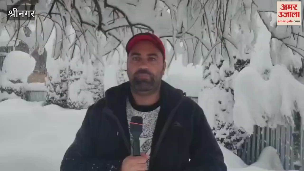 Fresh Snowfall Blankets Kashmir Valley, Shopian Records Heavy Accumulation