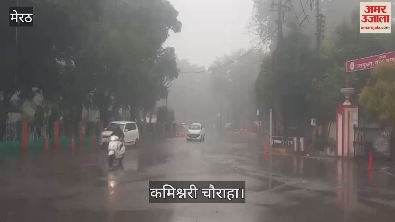 Meerut: Fog prevails amidst rain