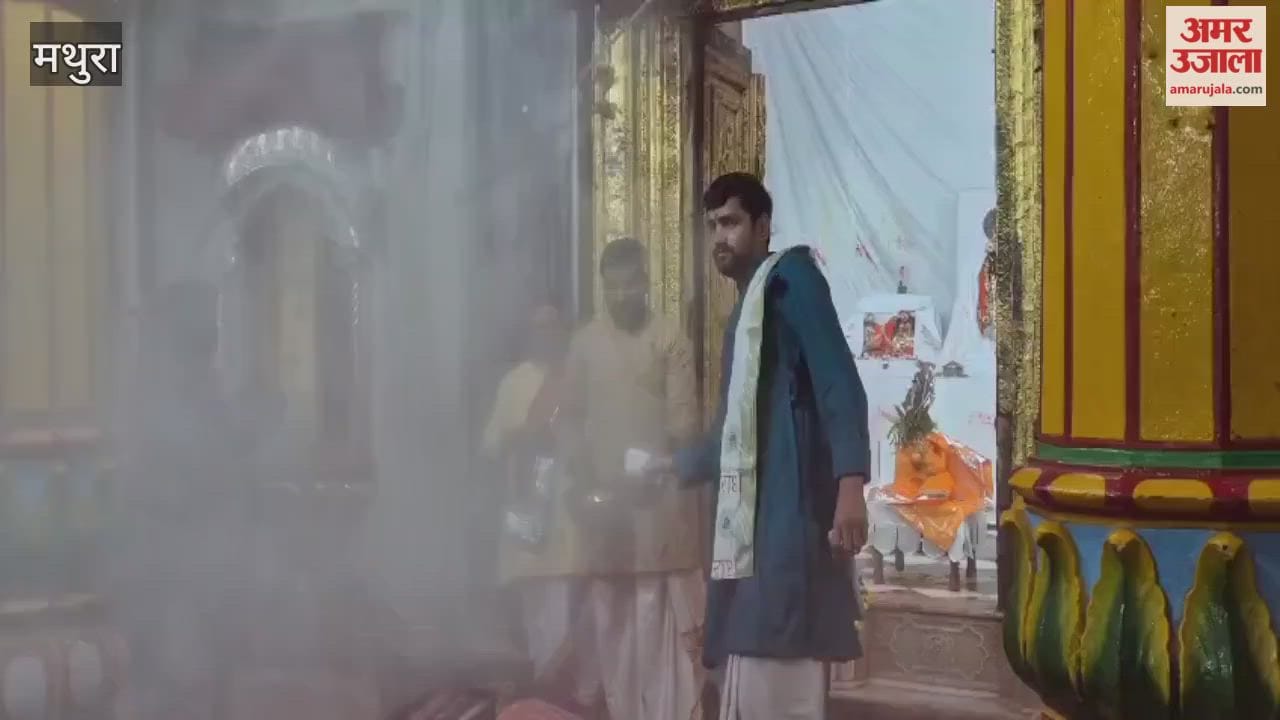 Gulal and Devotion Mark Basant Panchami Celebrations at Dwarkadhish Temple