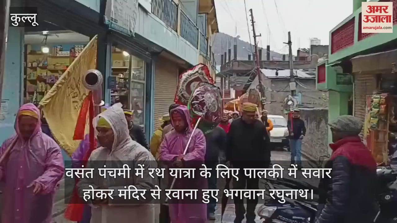 On Basant Panchami, Lord Raghunath departed from the temple in a palanquin for the chariot procession.