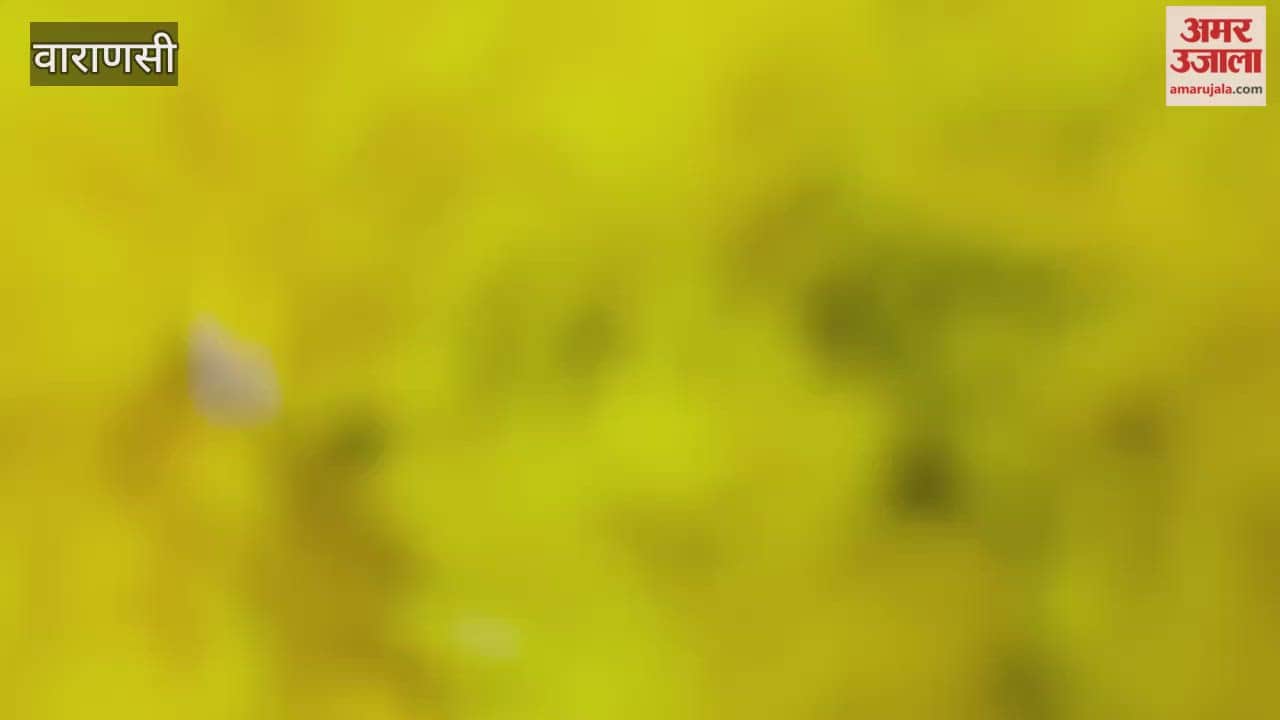 Devotees worship Goddess Saraswati at Annapurna Darbar temple resounds chants and slogans