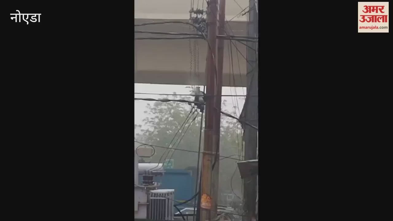 electricity company promises were washed away in first rains of year
