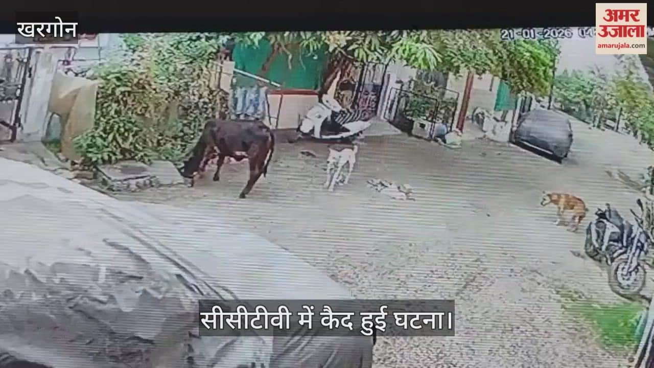 Dogs attack innocent child going to school in Khargon incident captured on CCTV