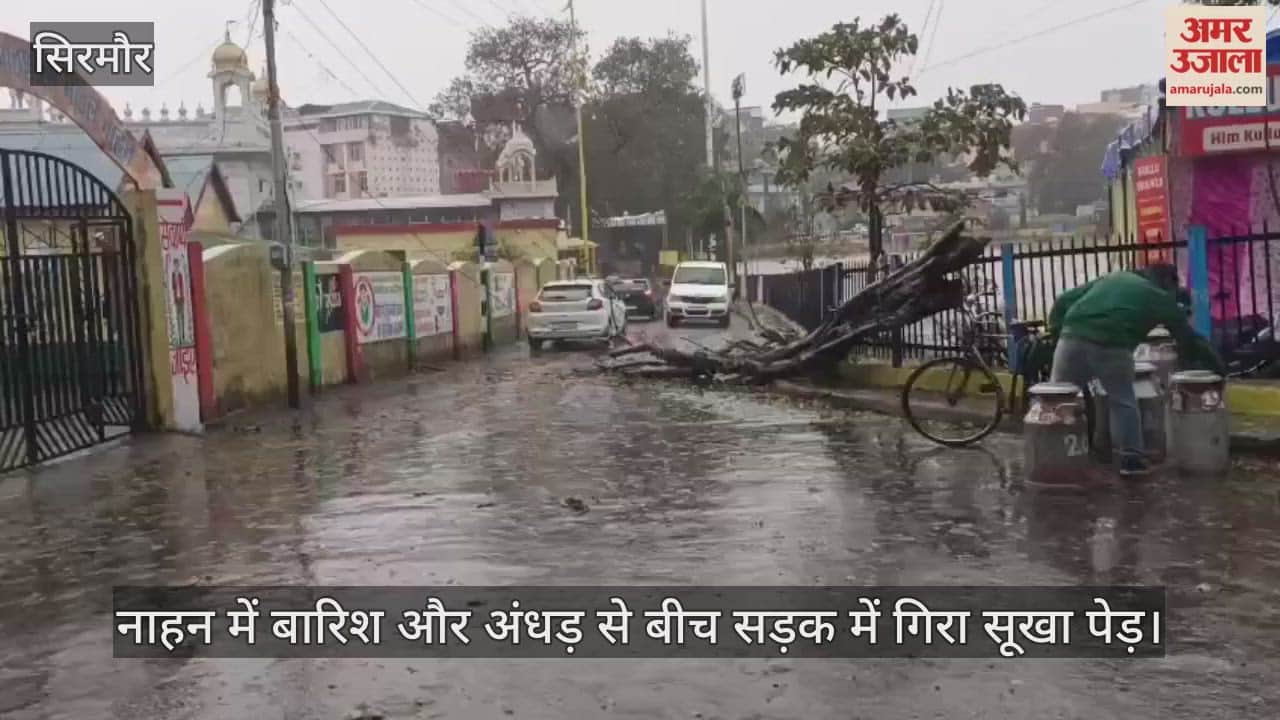 dry tree fell in the middle of the road in Nahan due to rain and strong winds.