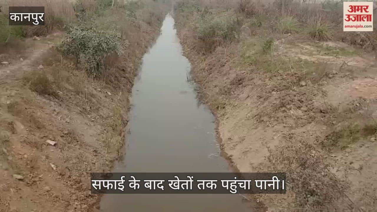 अमर उजाला इम्पैक्ट: कुरसौली रजबहे में लौटा पानी, खबर छपने के बाद सिंचाई विभाग ने कराई सफाई