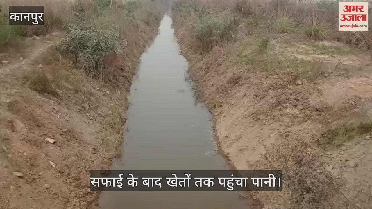 अमर उजाला इम्पैक्ट: कुरसौली रजबहे में लौटा पानी, खबर छपने के बाद सिंचाई विभाग ने कराई सफाई