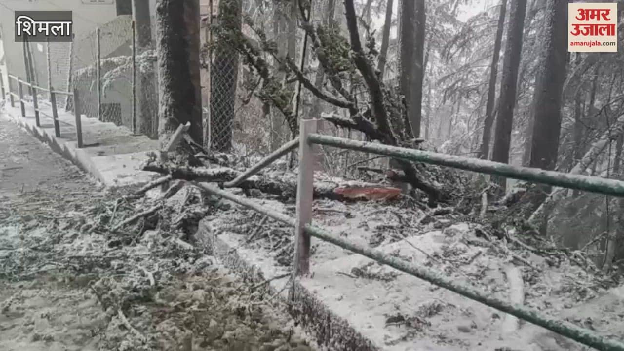 Shimla As soon as it started snowing in the capital, the movement of vehicles came to a halt and power outages occurred in several areas