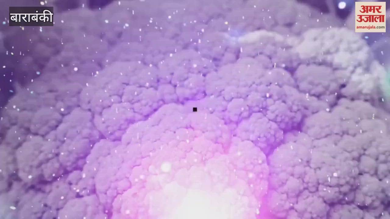 Video: रंग-बिरंगी सब्जियां उगाकर उत्तम ने बदली अपनी रंगत