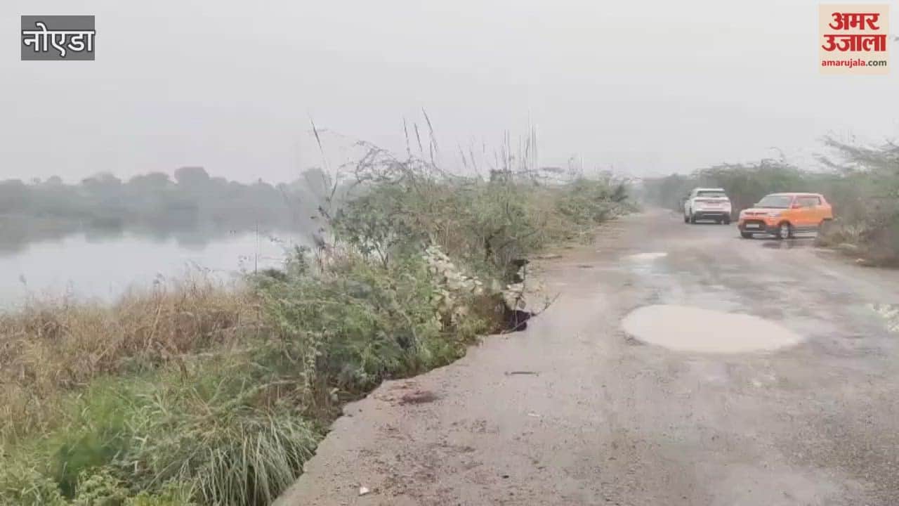 Fear of accident due to road collapse in Noida Sector 150