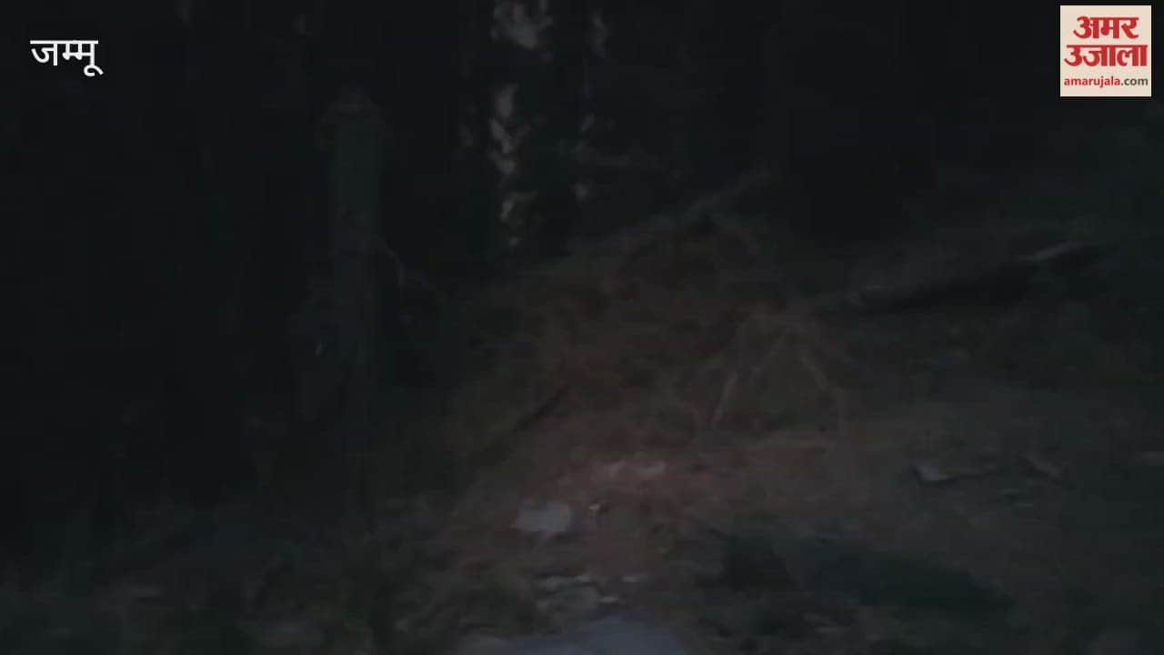 Ten soldiers martyred in Indian Army vehicle accident