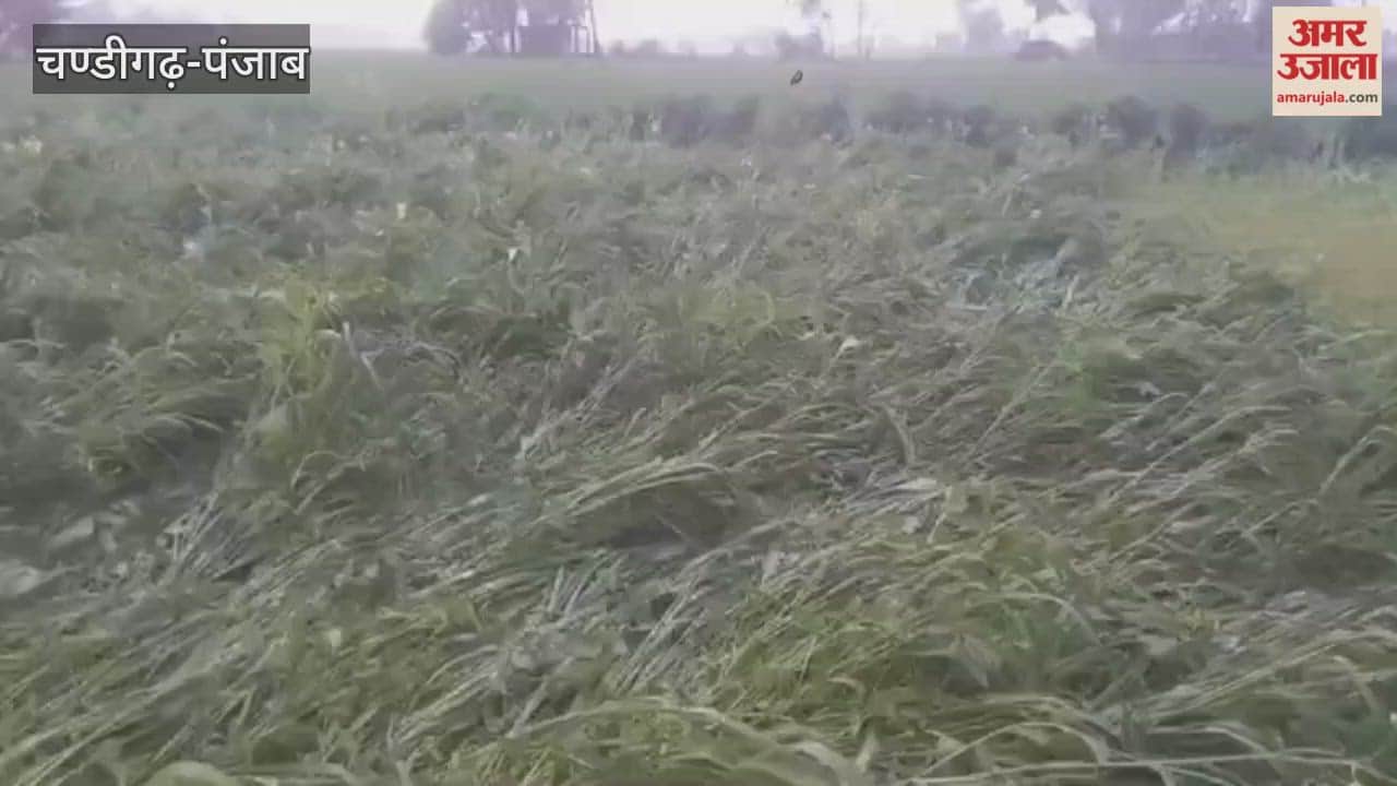 Heavy rain in Mamdot and Firozpur