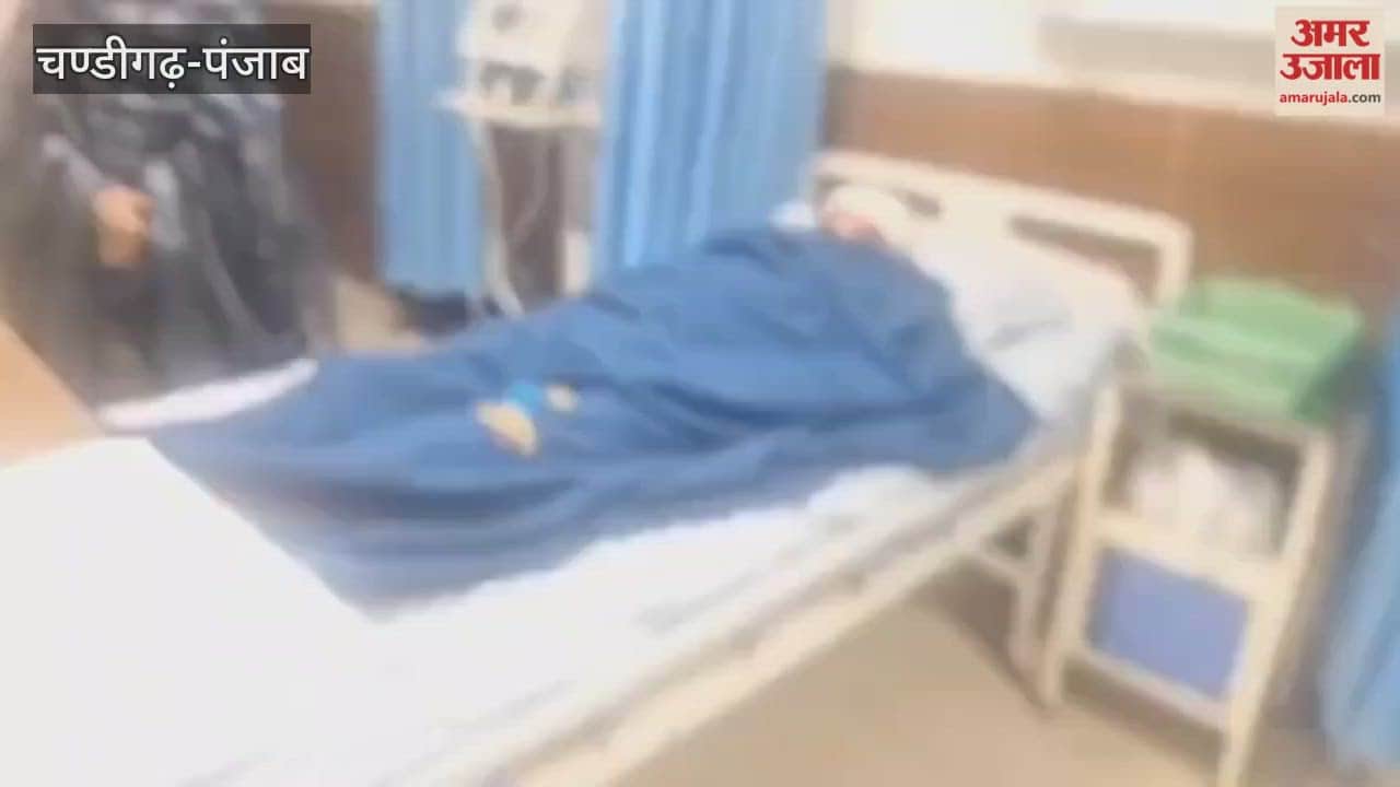 five people injured due to chinese kite string on Basant Panchami in Ferozepur