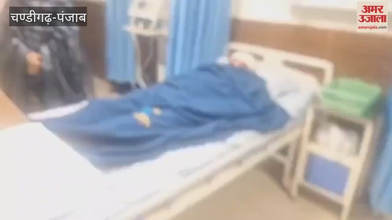 five people injured due to chinese kite string on Basant Panchami in Ferozepur