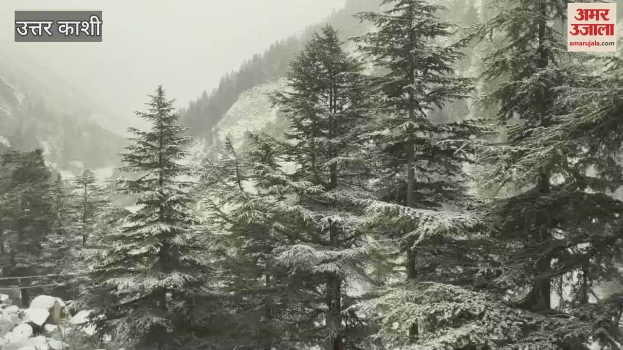 VIDEO: The Gangotri valley presents a beautiful sight after the snowfall.