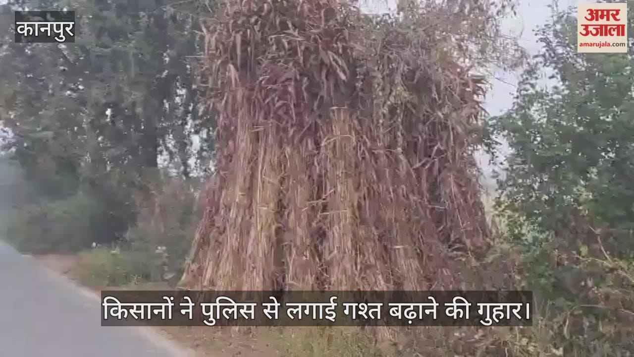 कानपुर: भीतरगांव में खेतों से पार हो रहा पुआल और भूसा, रात भर जागकर रखवाली कर रहे किसान