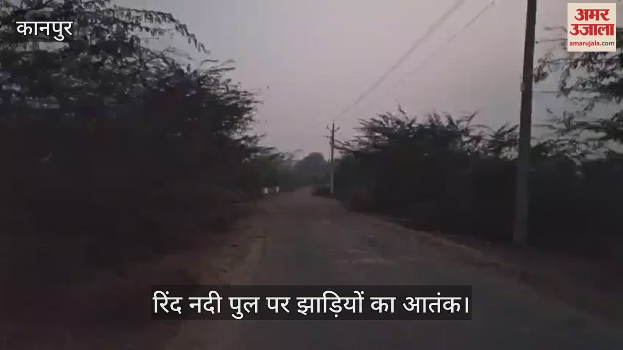 कानपुर: भीतरगांव-शंभुआ मार्ग पर सिकुड़ गई सड़क, हादसे के डर से सहमे राहगीर