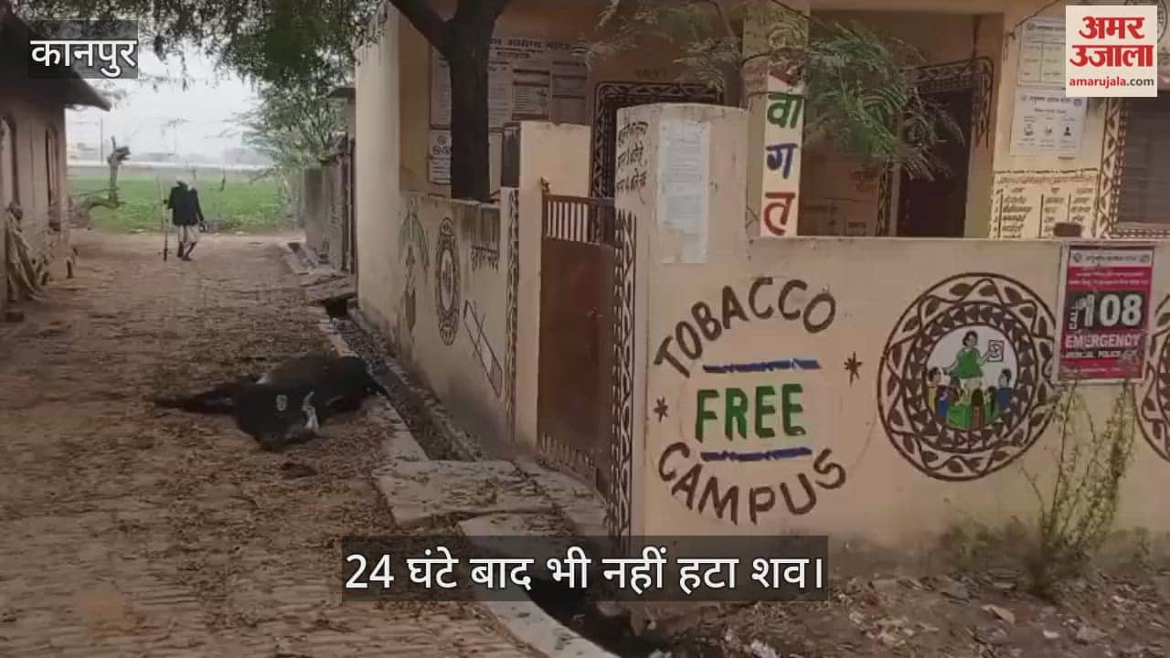 कानपुर: लोधर आयुष्मान केंद्र के गेट पर मृत गोवंश, दुर्गंध के बीच इलाज कराने को मजबूर मरीज