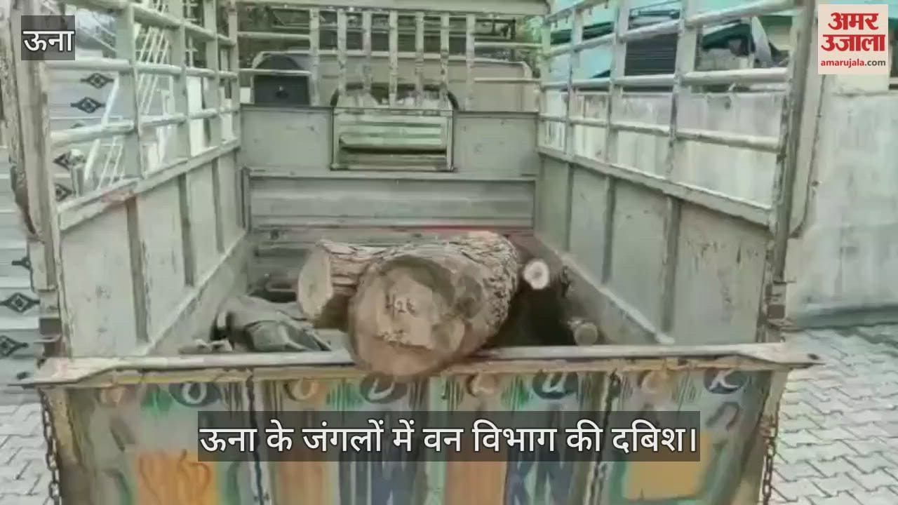 Forest department raids in Una forests, four people arrested for illegal timber felling