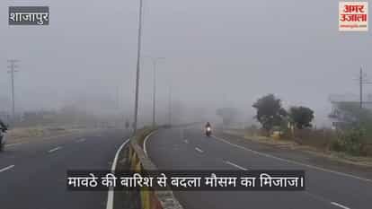 Mawthe rain occurred in Shajapur, Agar Malwa, increasing the effect of cold.