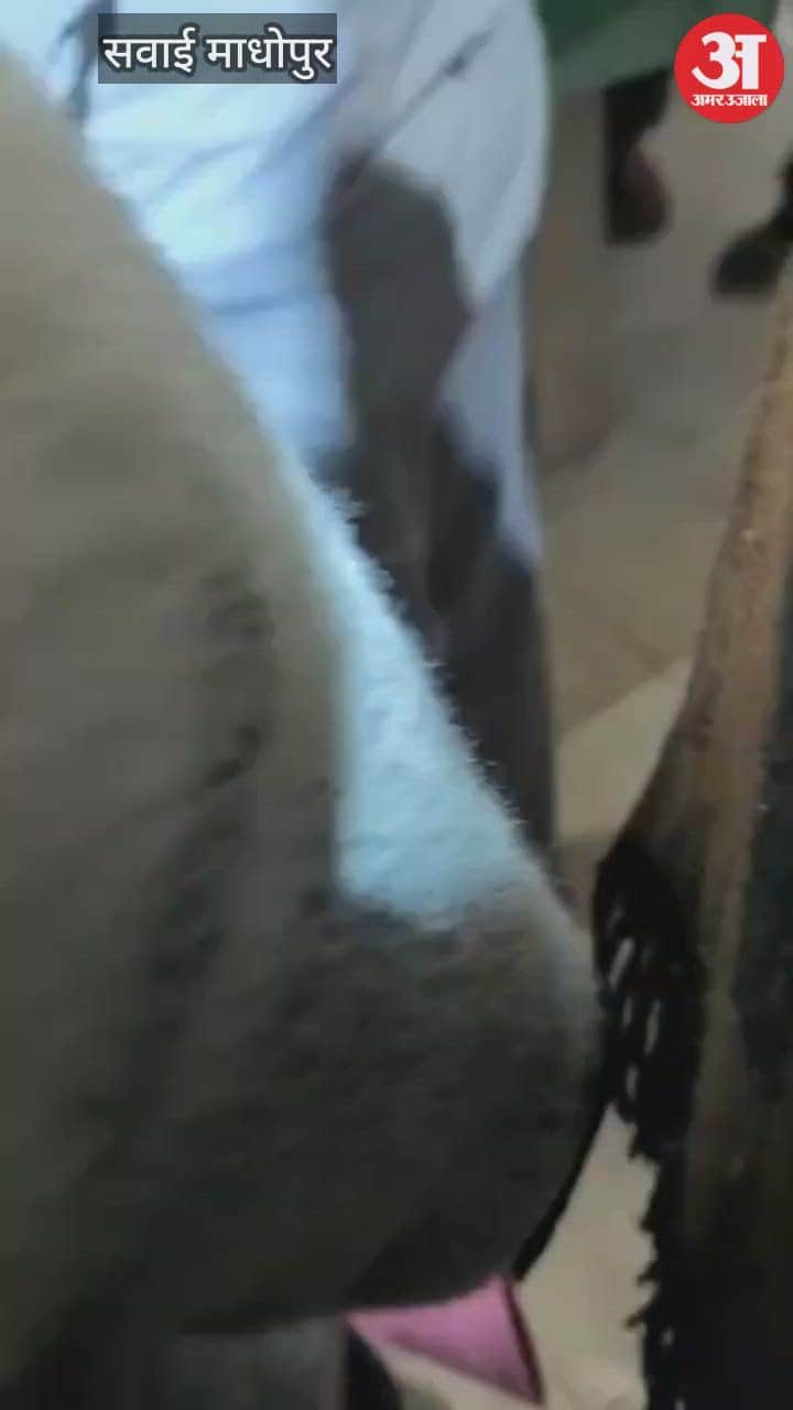 Sawai Madhopur News: Biker shoots tempo driver