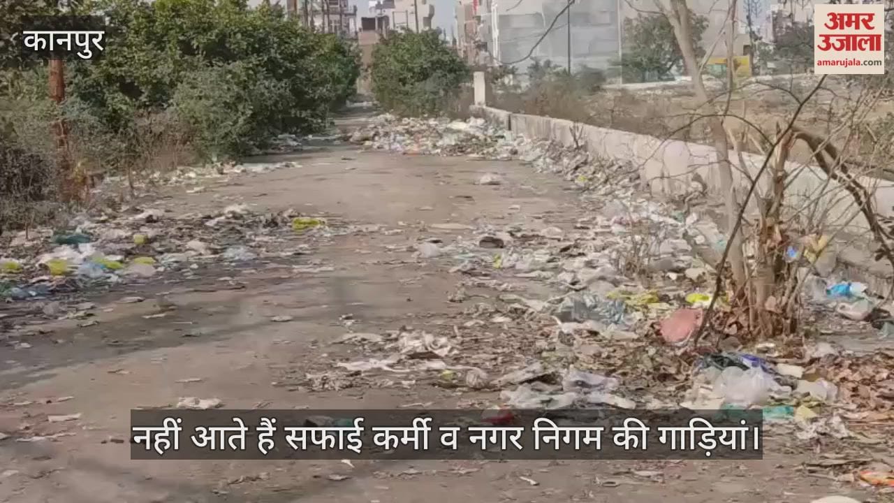 कानपुर: पनकी कामत गिरी अपार्टमेंट जाने वाली सड़क में गंदगी का फैलाव