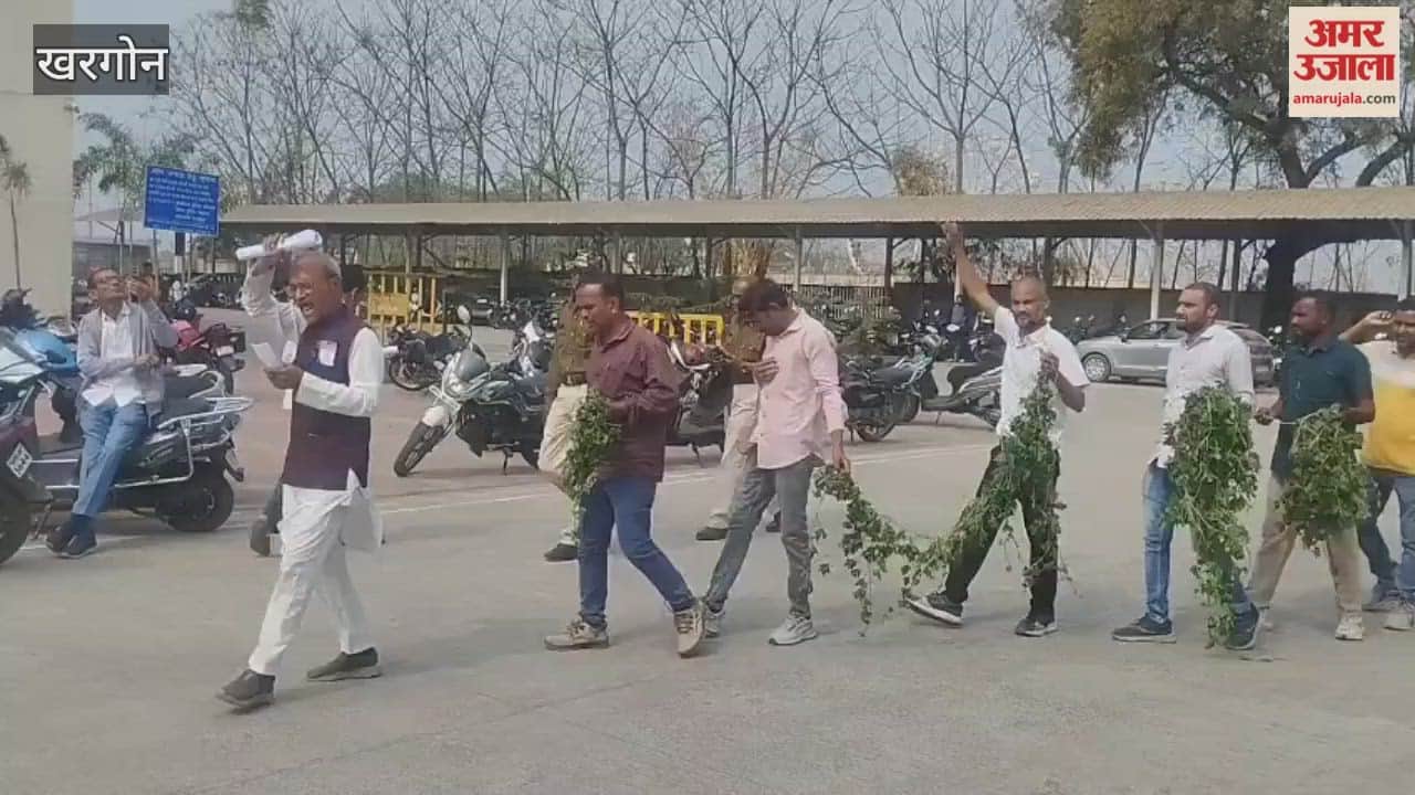 Farmers' bitter gourd crop ruined, allegations of supply of defective saplings