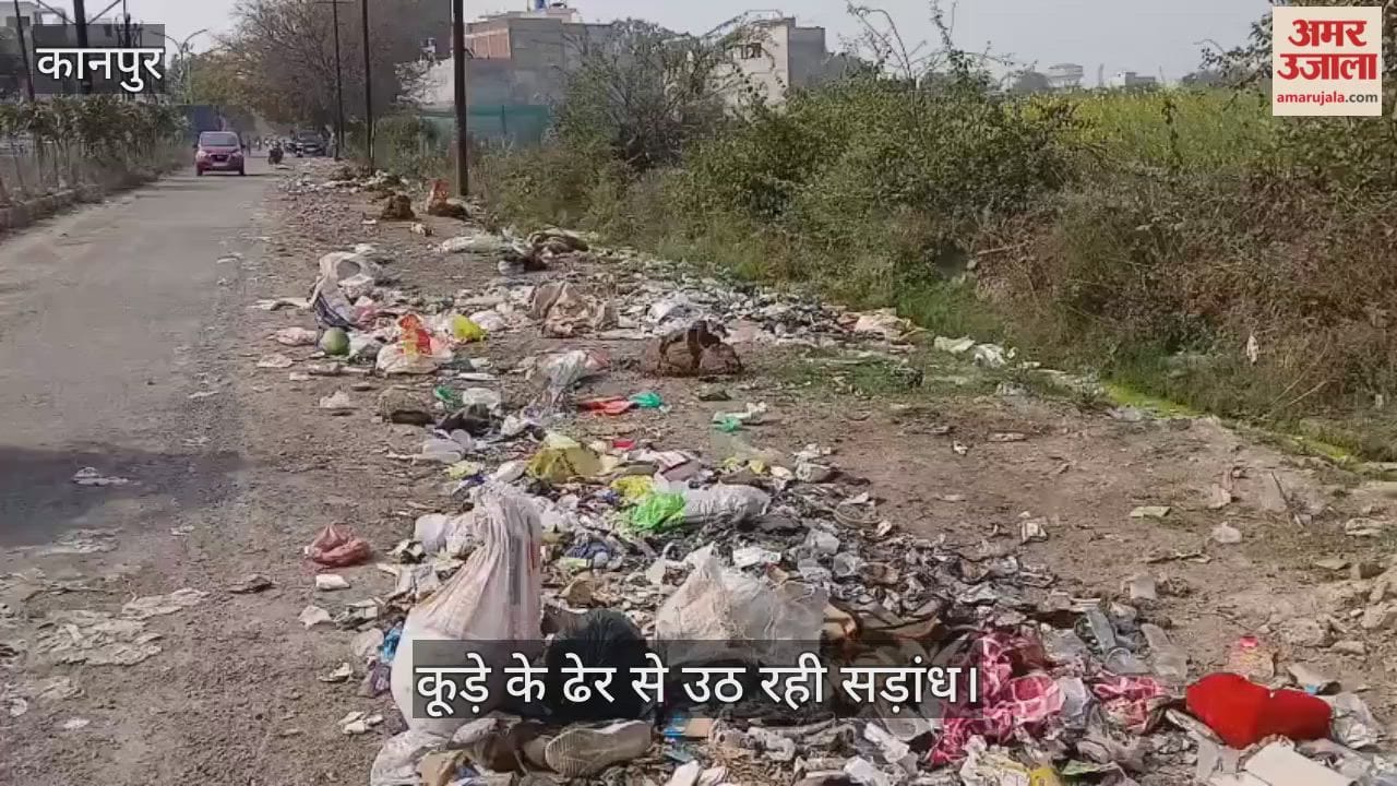 कानपुर: पनकी वृद्धाश्रम मार्ग पर कूड़े का अंबार; गड्ढों में तब्दील हुई सड़क, सुध लेने वाला कोई नहीं