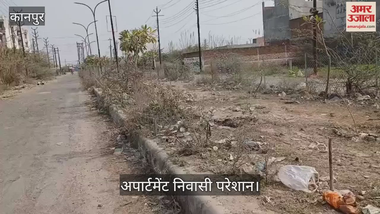 कानपुर: जवाहर योजना में टूटी सड़क ने बढ़ाई मुश्किलें, सूखी ग्रीन बेल्ट दे रही बदहाली की गवाही