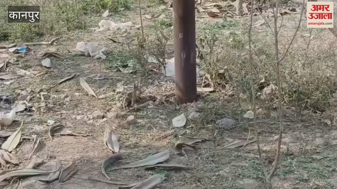 रतनपुर में ग्रीन बेल्ट का गला घोंट रहे कब्जे, हरियाली की जगह लगा कूड़े का ढेर