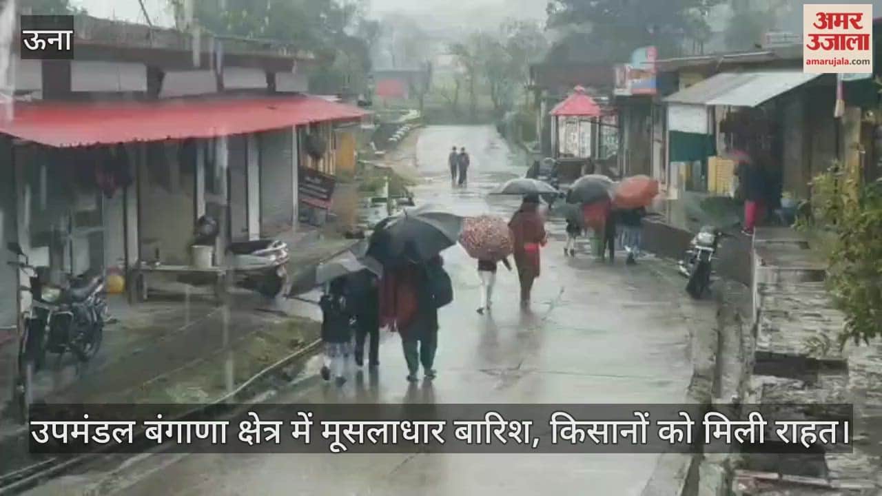 Heavy rains in the Bangana sub-division area bring relief to farmers.