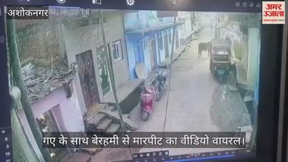 गाय को बेरहमी से पीटने वाला राशिद खान गिरफ्तार, वायरल हुआ वीडियो