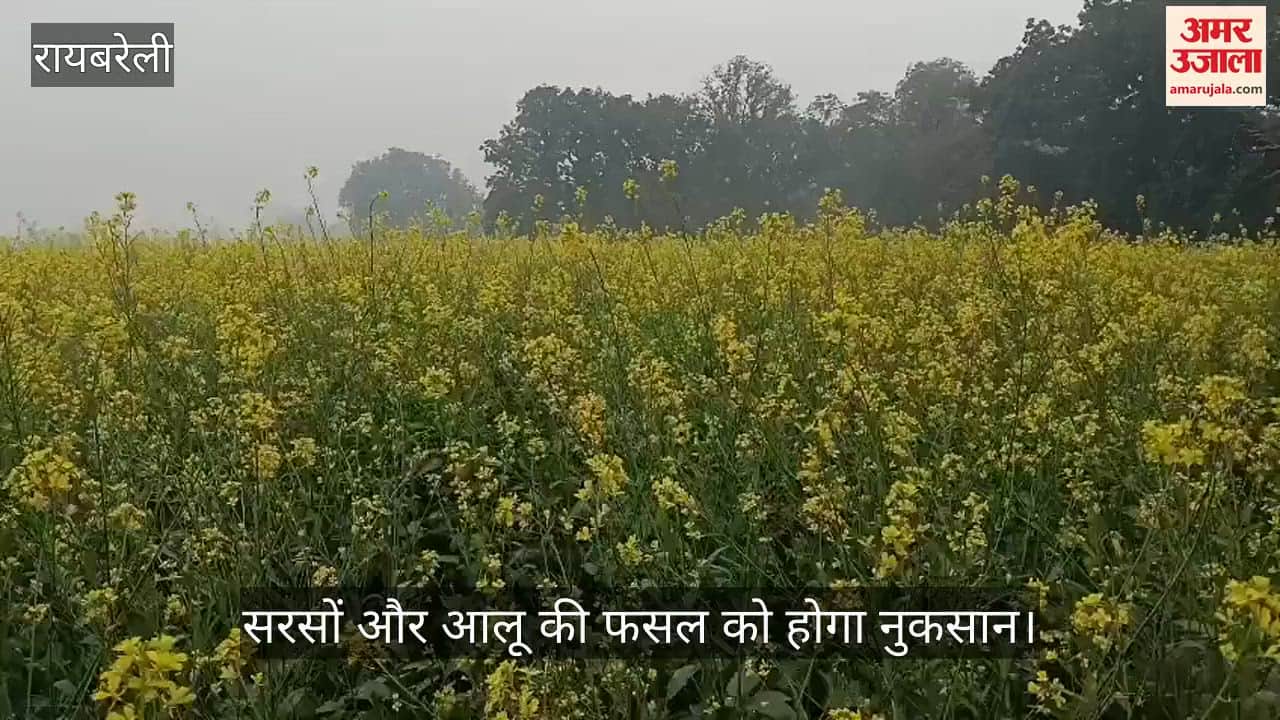 VIDEO: मौसम के बिगड़े मिजाज से किसान परेशान, और बारिश हुई तो सरसों और आलू की फसल को होगा नुकसान